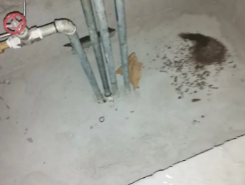 汉南卫生间测漏水价格明细