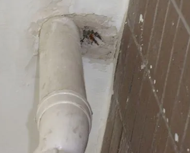 汉南漏水检测哪家好